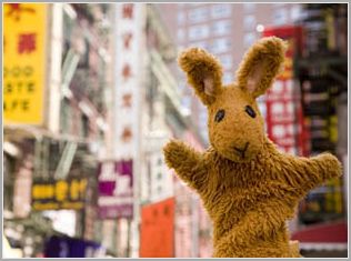 gregthebunny.jpg