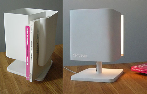 fiat_lux_lamp_cate_nelson.jpg