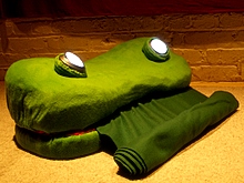 frog-unraveled.jpg