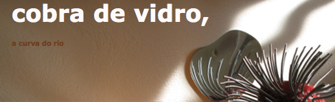 cobradevidro.png