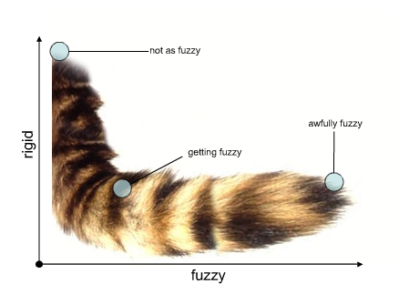 fuzzyperson.png